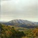 Front cover - Mount Wittenberg Orca - Björk & Dirty Projectors - cd - Domino Records - RUG418CD (UK)