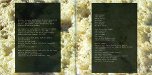 Booklet page 10-11 - Mount Wittenberg Orca - Björk & Dirty Projectors - cd - Domino Records - RUG418CD (UK)
