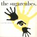 Front cover - Coldsweat - Sugarcubes - 7inch - Elektra - 7-69377 (US)