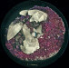 Label A - Crystalline - Björk - 12inch - One Little Indian - 1123 tp12 a (UK)