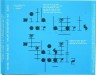 Inlay - Crystalline - Björk - CD - One Little Indian - 1123 tp 7 cda (UK)