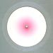 Label A - Lion song - Björk - 12inch - One Little Indian - 1303 tp 12 (UK)