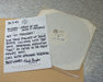 Promotional inlay - Army of me - Björk - 12inch - One Little Indian - 162 tp 12 bb (UK)