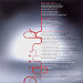 Back cover - Cocoon - Björk - DVD - One Little Indian - 322 tp 7 dvd (UK)