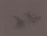 Tray inlay - Who is it - Björk - DVD - One Little Indian - 446 tp 7 dvd (UK)
