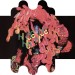 Outer cover unfolded - Innocence - Björk - 12inch/CD/DVD - One Little Indian - 838 tp 12 (UK)
