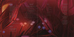 Booklet page 4-5 - Homogenic - Björk - CD - One Little Indian - tp lp 71 cd (UK)